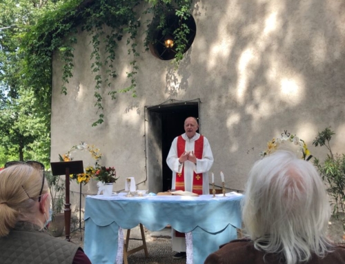 Le belle domeniche al Lorenteggio!